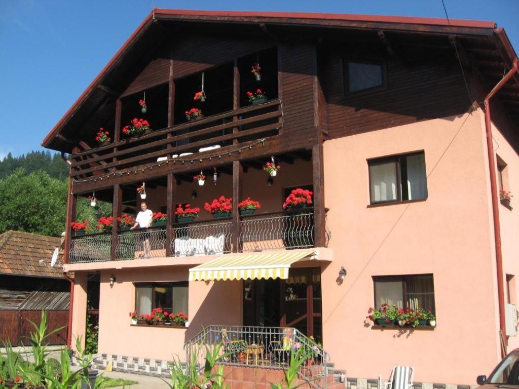 Pensiune Maria Rucar  Exterior photo